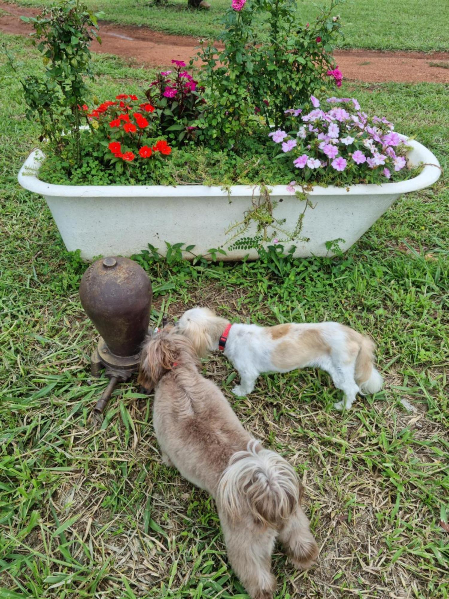Pousada Aguas Da Canastra Vargem Bonita Bagian luar foto