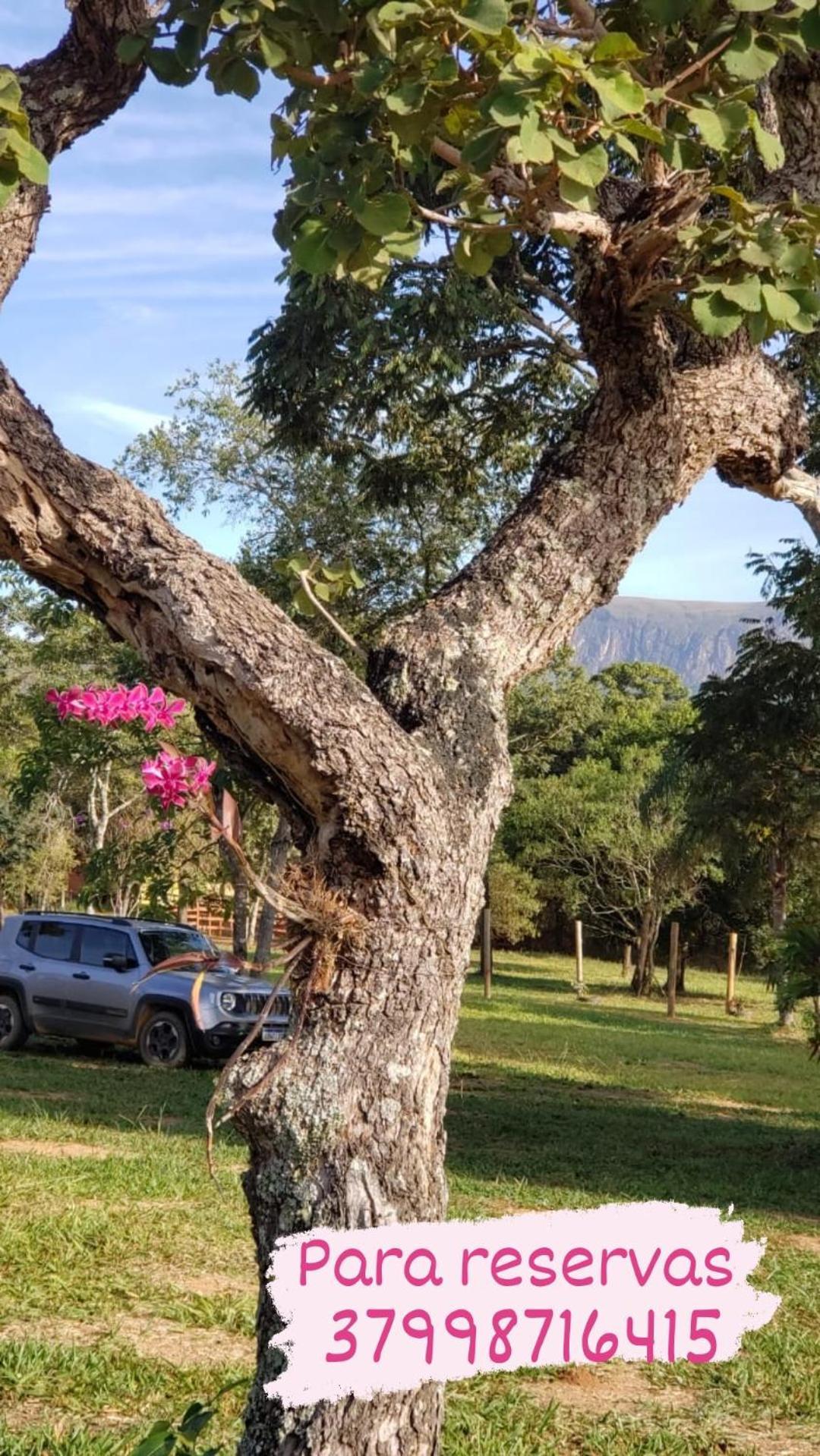 Pousada Aguas Da Canastra Vargem Bonita Bagian luar foto